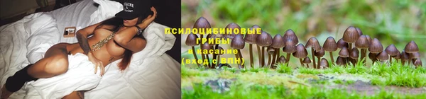 а пвп мука Абаза