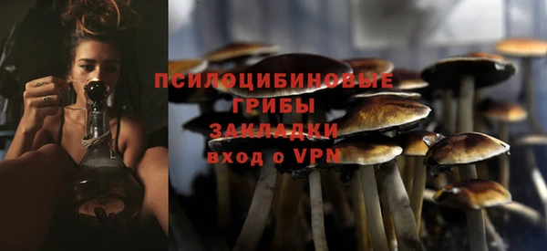 сатива Абдулино