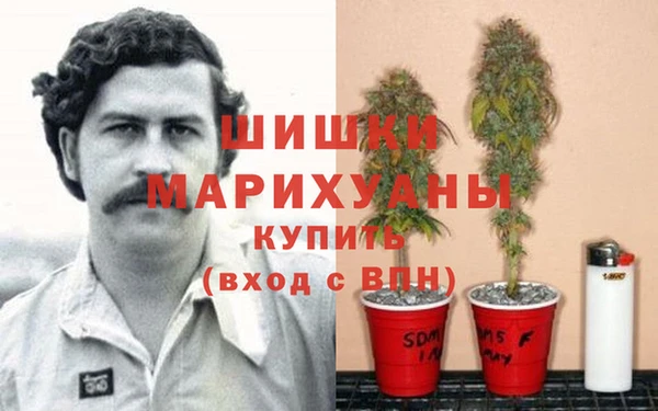 а пвп мука Абаза