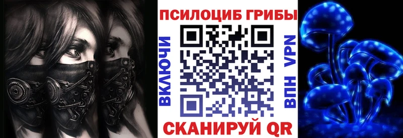 продажа наркотиков  Алатырь  Галлюциногенные грибы Psilocybe 